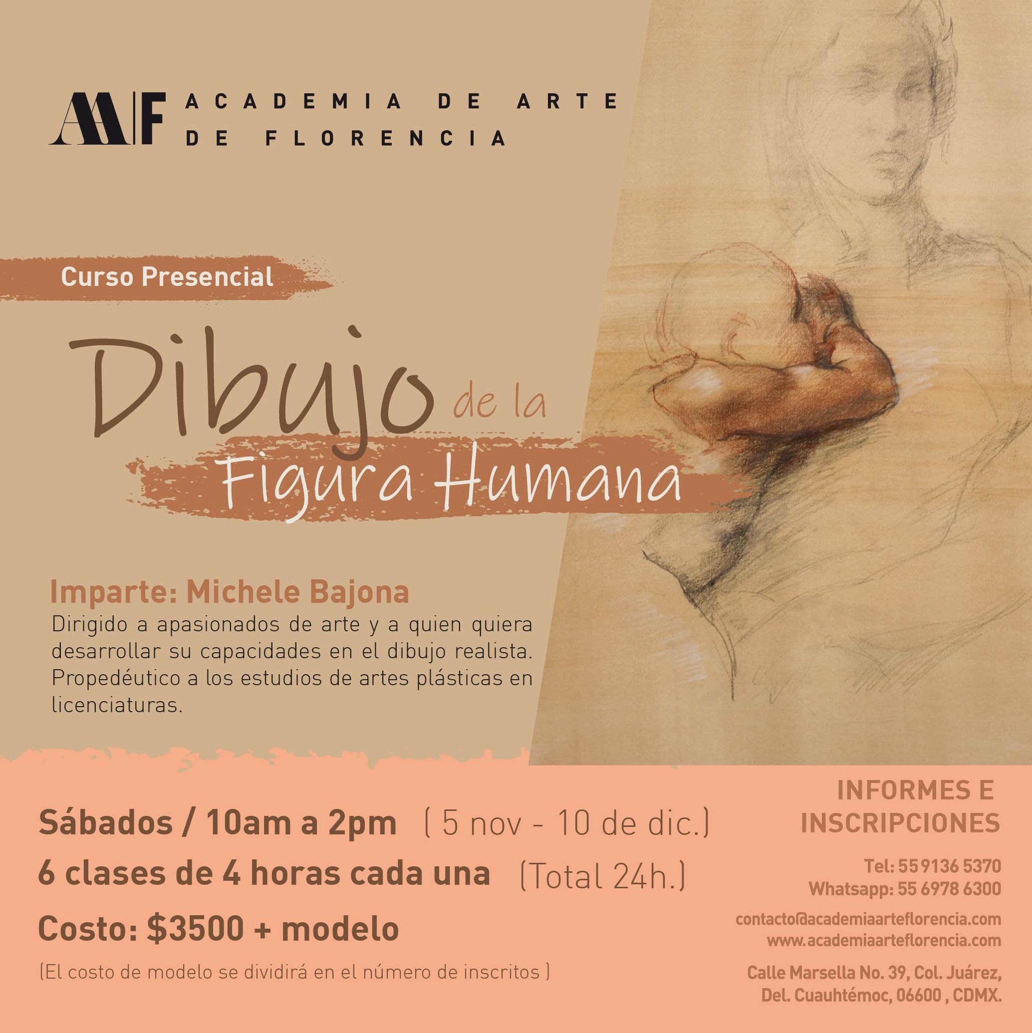 Dibujo De La Figura Humana Academia De Arte De Florencia